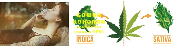 сатива Алзамай