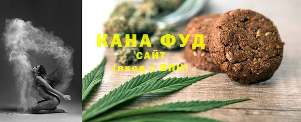 тгк Дедовск