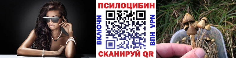 продажа наркотиков  Камень-на-Оби  Псилоцибиновые грибы прущие грибы 