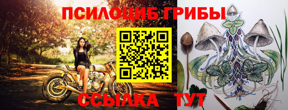 Псилоцибиновые грибы Magic Shrooms  Вход с VPN  Камень-на-Оби 